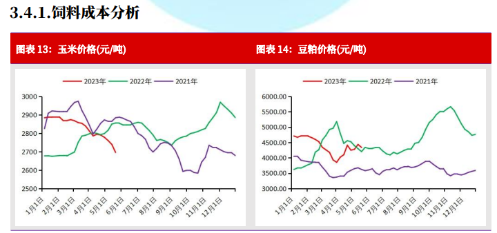 全国麸皮价格最新行情解析