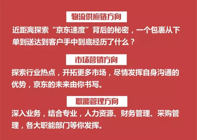 海宁木工招聘最新动态，职业发展的机遇与挑战