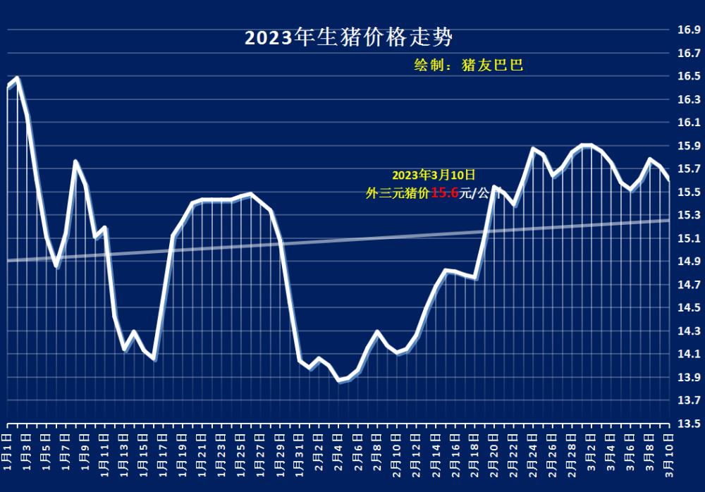最新生猪价格走势解析