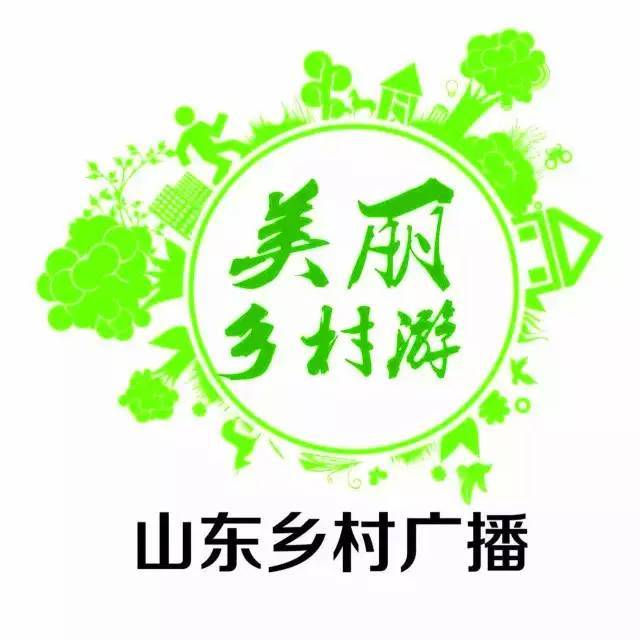 纸坊最新招聘动态与机会深度探讨