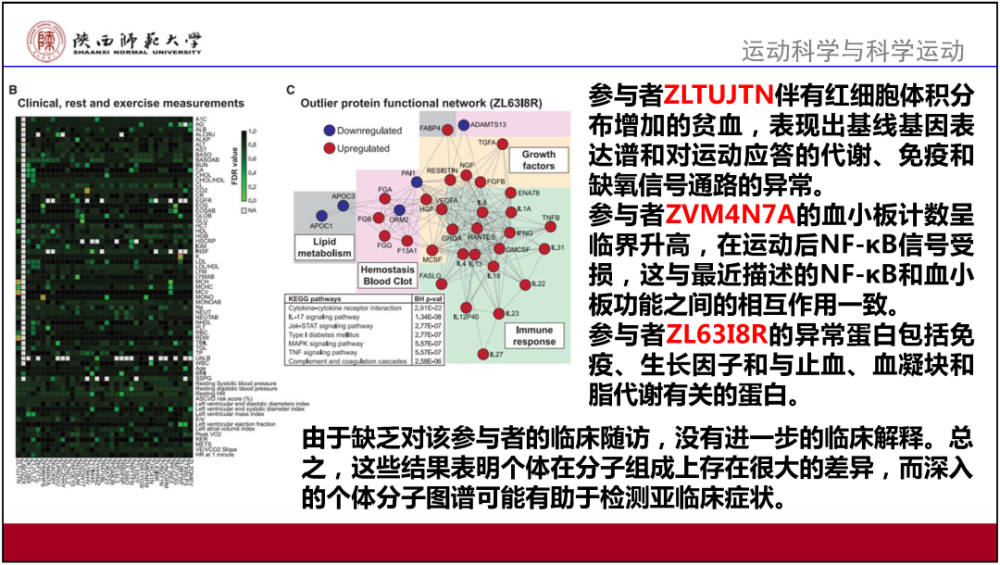 澳门管家婆免费资料的特点,广泛的解释落实方法分析_运动版4.545