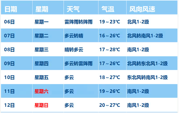 2024年11月8日 第12页