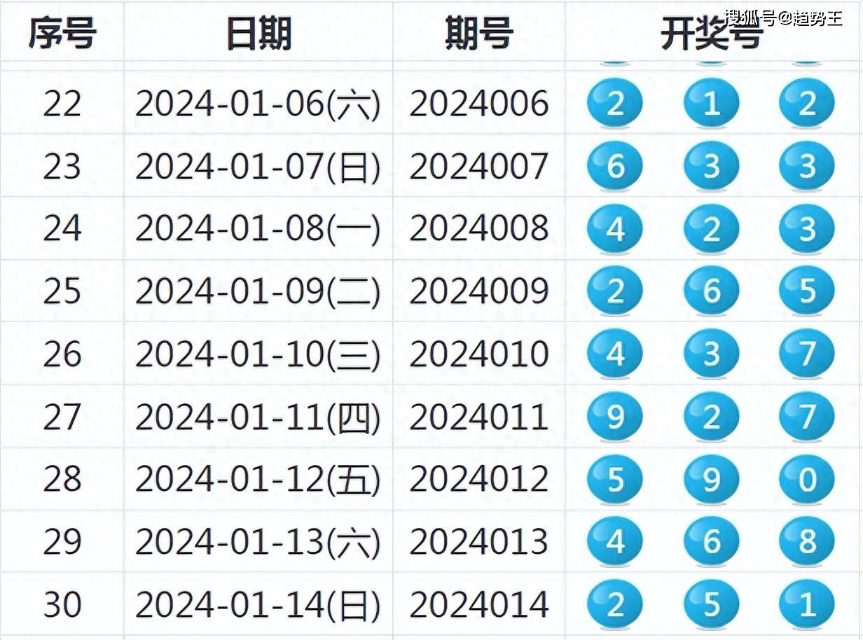 2024年开奖结果,实地数据解释定义_进阶版69.246