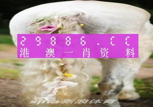 新澳门一肖一码,深入研究解释定义_探索版62.676