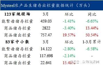 2024年正版资料免费大全挂牌,精细化解读说明_PalmOS50.469