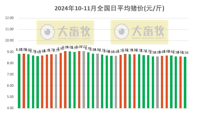 弟弟抢 第42页