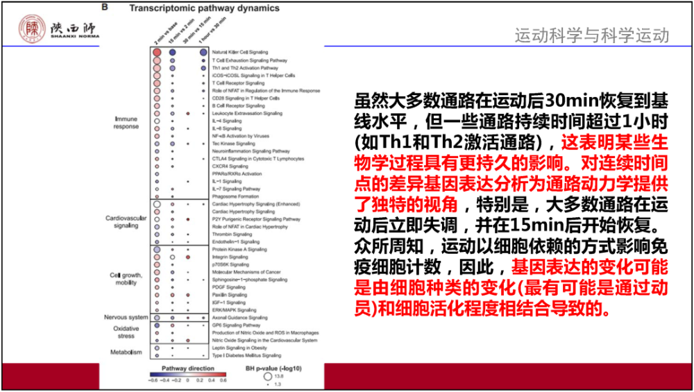 澳门4949最快开奖结果,效率资料解释落实_安卓26.84