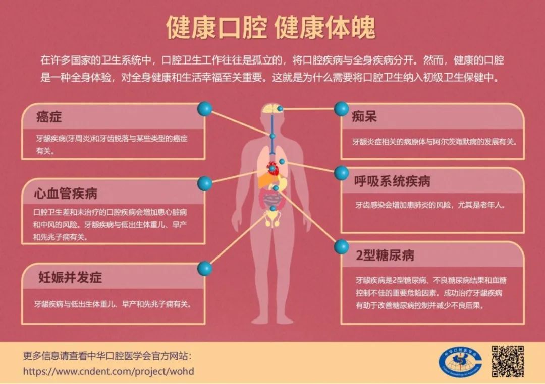 2024年澳门正版资料大全公开,科学研究解析说明_DP86.320