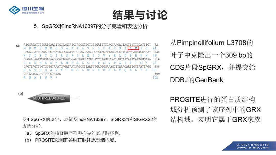 澳门最准最快免费的资料,综合评价_练肝PSW129.34