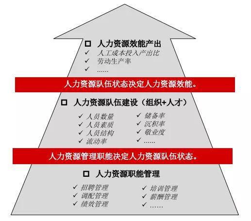 2024新澳正版免费资料,管理工程_金丹VRU445.74