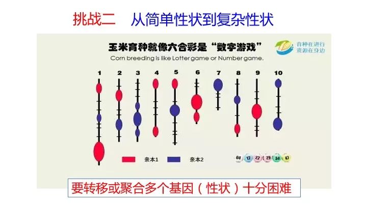 2024澳门今期开奖结果,植物保护_解题版DYG183.8