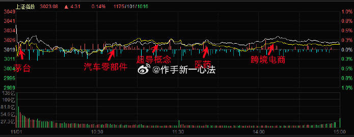 白小姐今晚特准特马，解析寓言版CDS429.24动态词汇