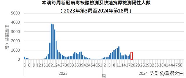 2024年11月19日 第34页