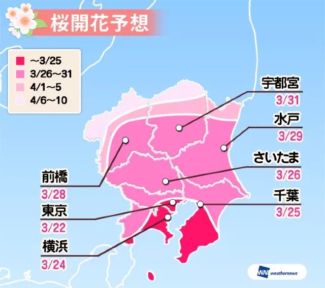 年澳门资料免费大全猛料,帮助游客更好地规划行程