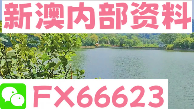 新澳精准资料免费提供最新版,如何获取并利用这些资料