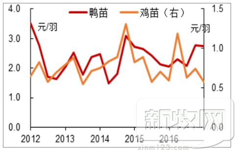 鸡鸭价格最新动态，市场分析预测报告