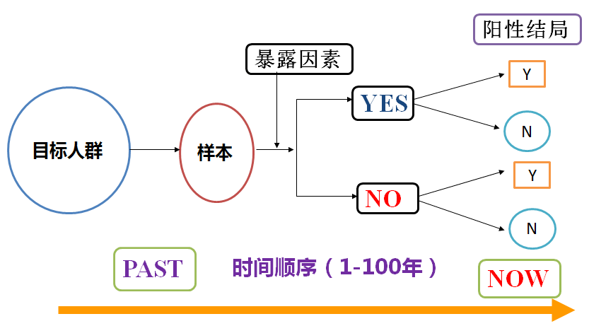 新奥天天免费资料大全,这里都有你需要的资源