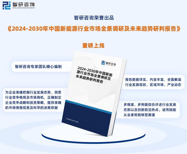 2024新奥资料免费精准资料,案例分析：新奥资料在企业战略中的应用