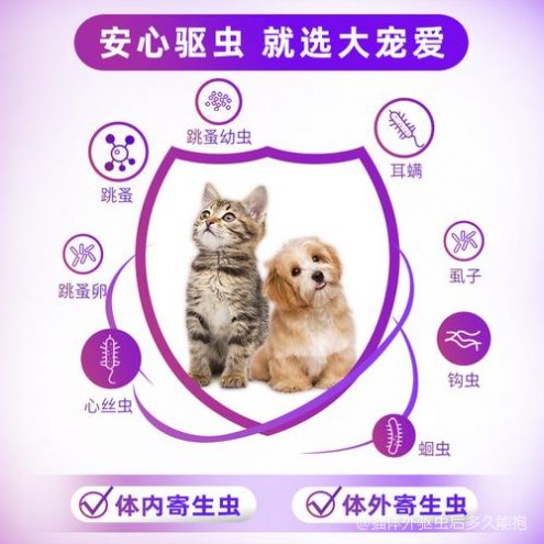 7777788888管家婆精准,猫咪体外驱虫后多久可以洗澡_高手版3.238