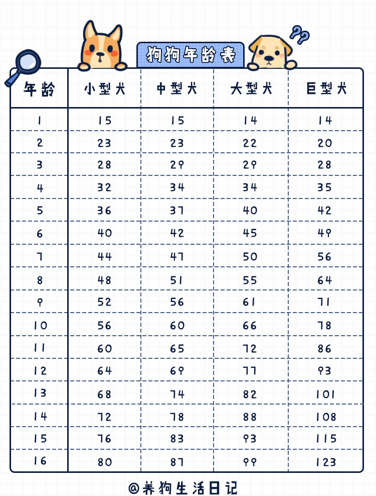 2024十二生肖49码表,狗狗犬瘟症状_黄金版5.131