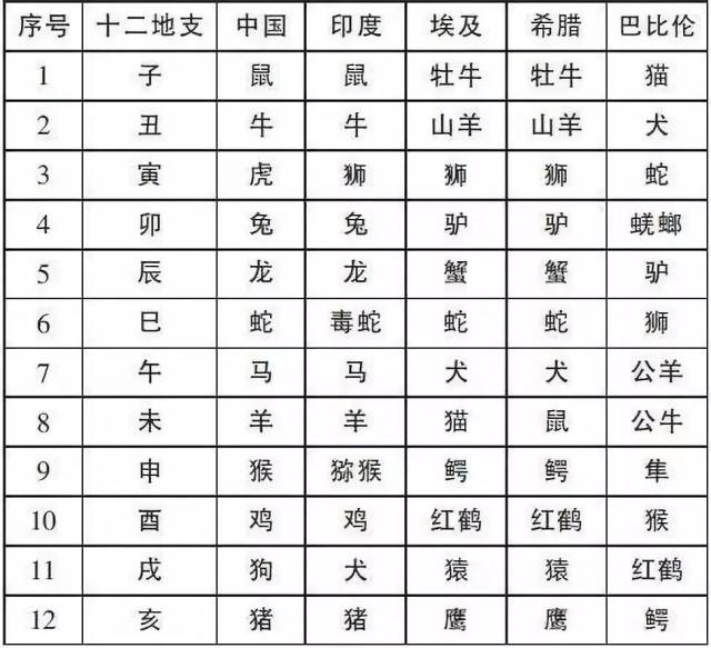 2024年十二生肖表图片,猫咪没奶水怎么回事_王者版5.241