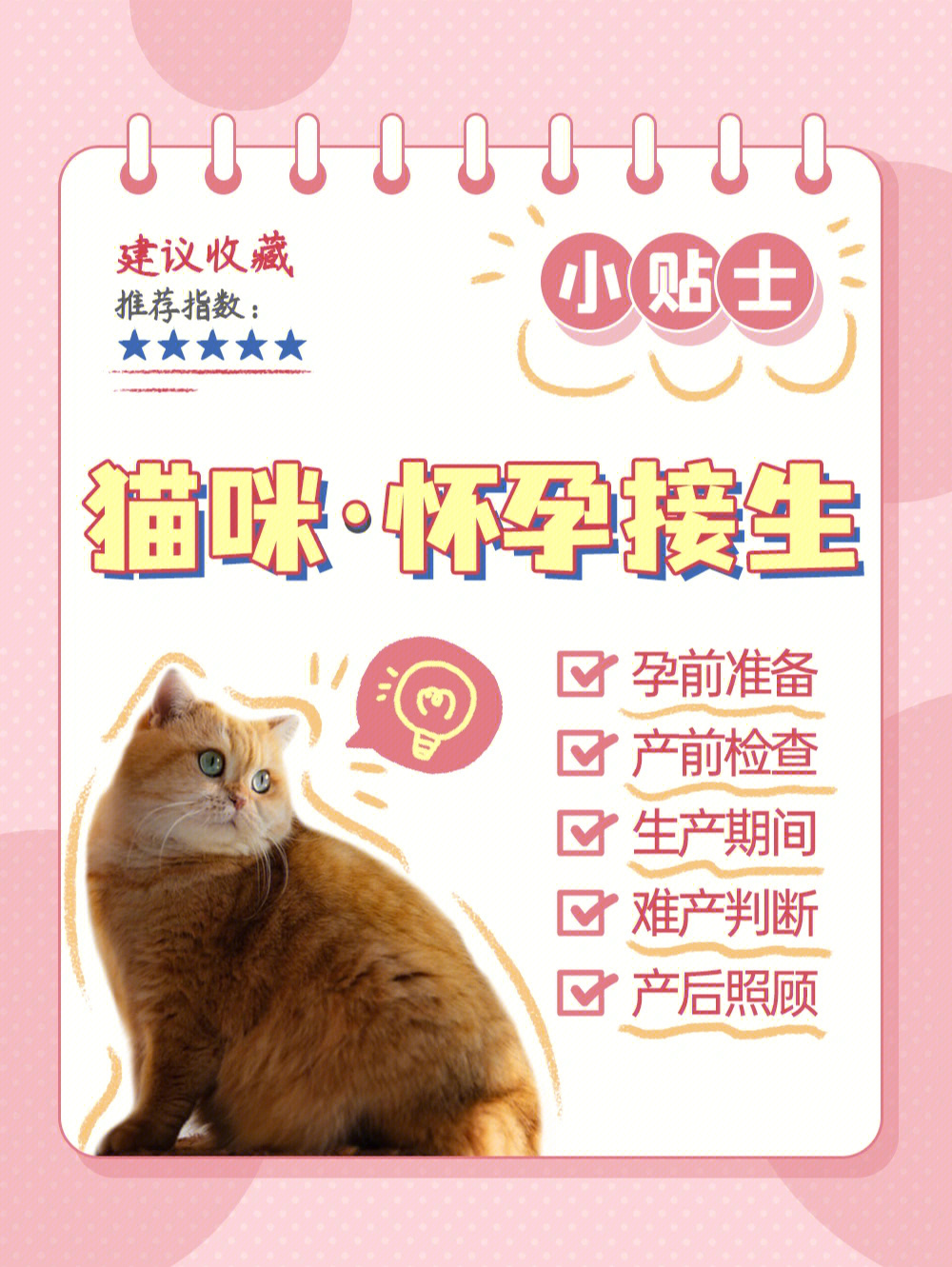 全年资料免费大全,猫咪怀孕几个月生_钻石版3.139