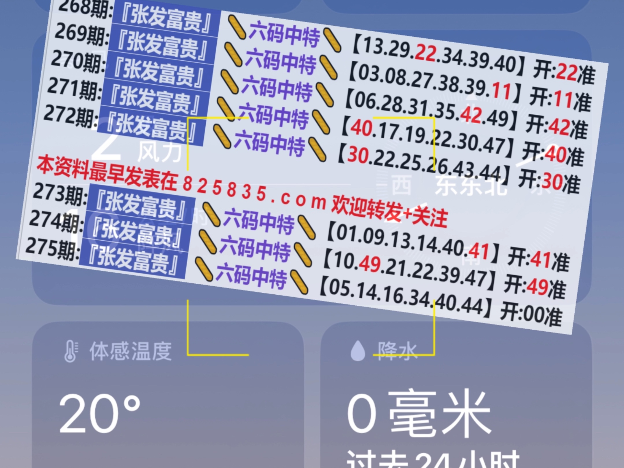 2024新澳门今晚开奖号码,权威解读说明_工具版60.275