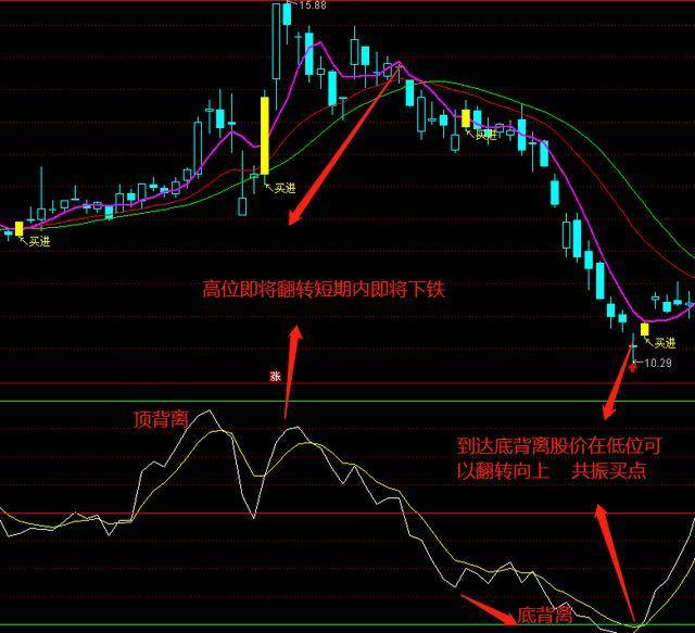 香港马买马网站www,结构解答解释落实_X12.397