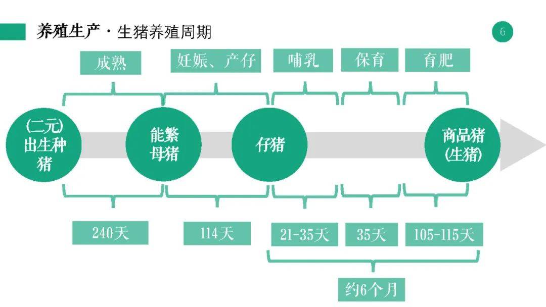 2024年管家婆的马资料,现状分析说明_Deluxe29.89