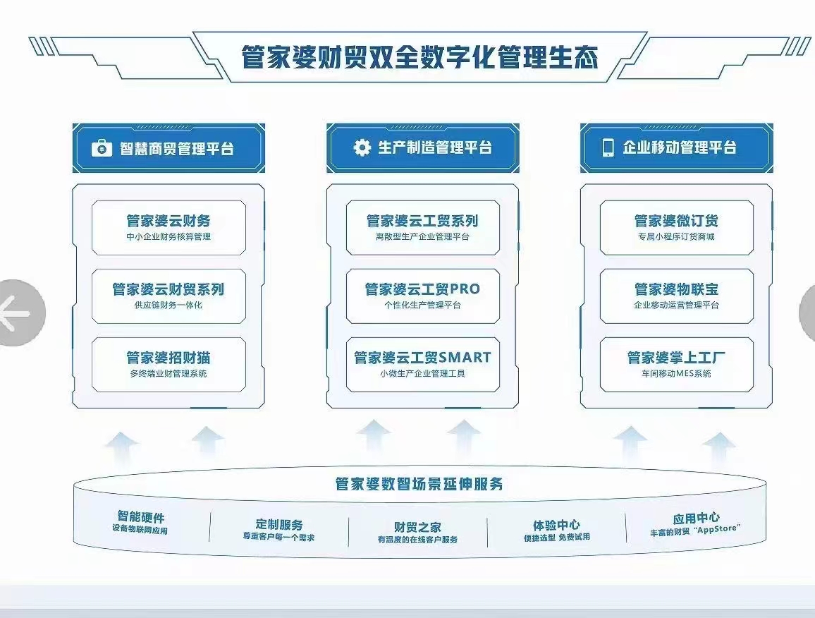 2024正版管家婆,数据导向计划解析_YE版42.290