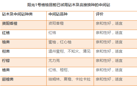 新澳现场开奖结果查询,定性解析说明_4DM24.380