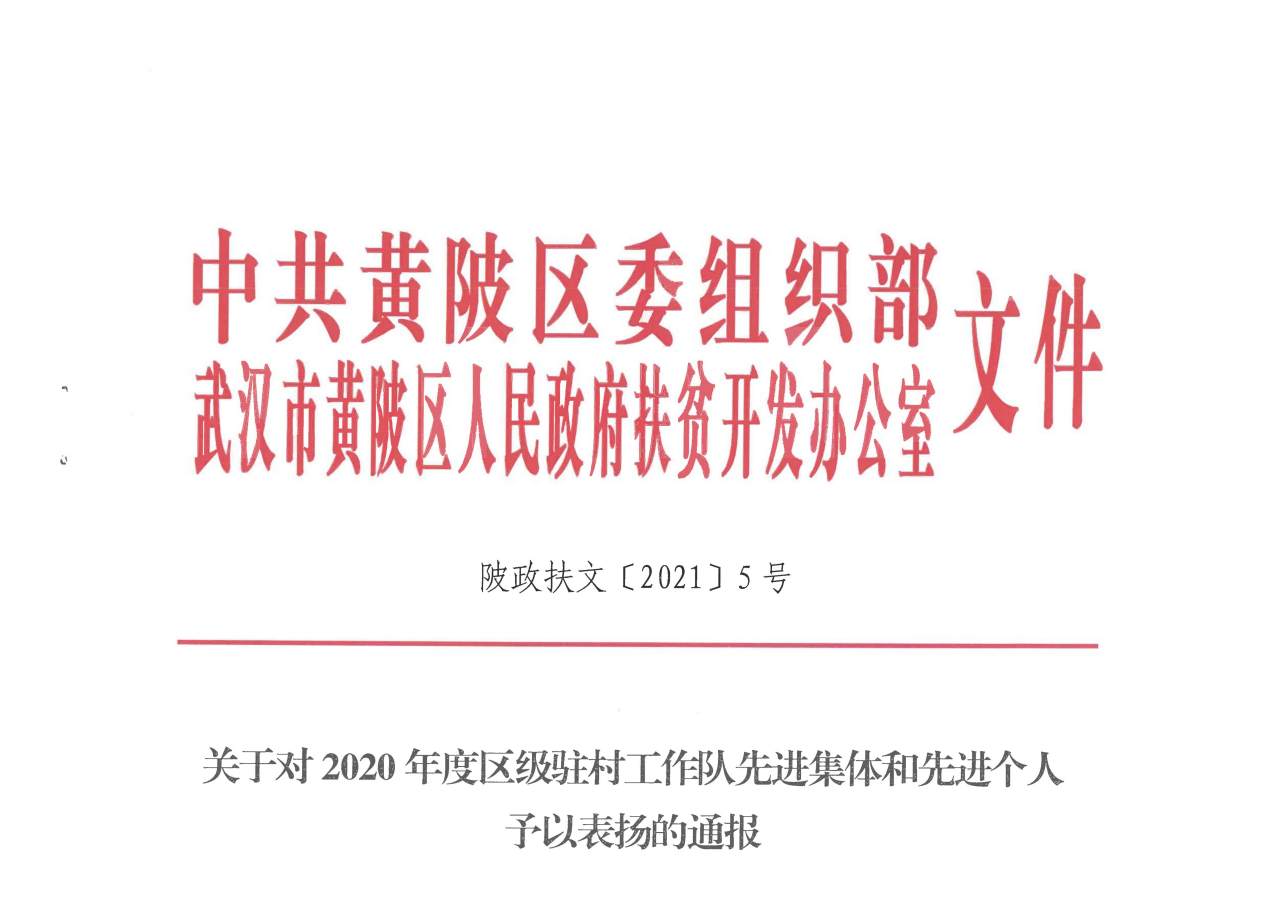 新奥精准资料免费提供630期,实效设计解析_经典版89.436