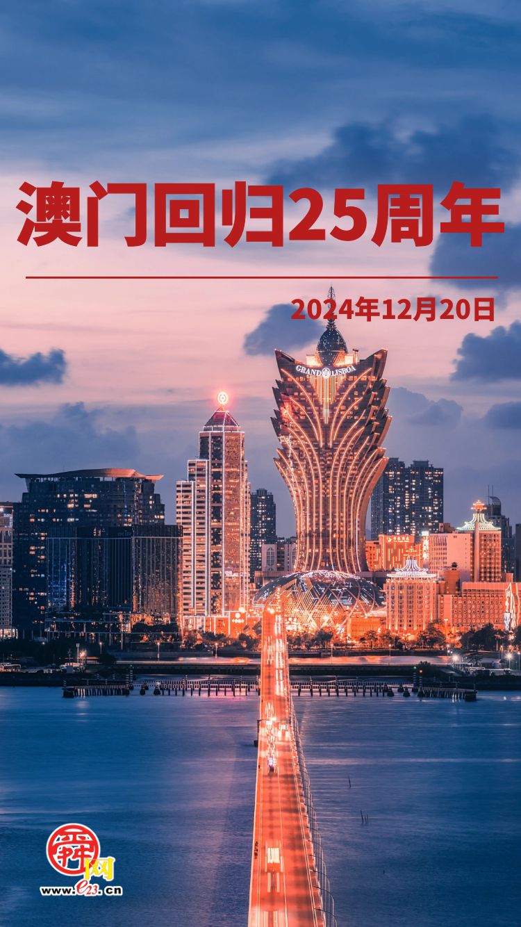 新澳门2024年正版免费公开,未来展望解析说明_纪念版24.907