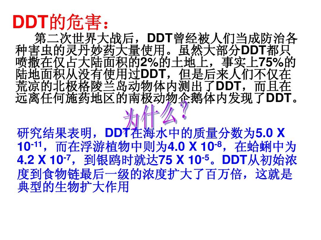 DDT最新动态，引领前沿科技，塑造未来发展之路