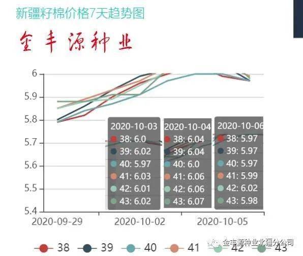 山东棉籽价格最新动态分析