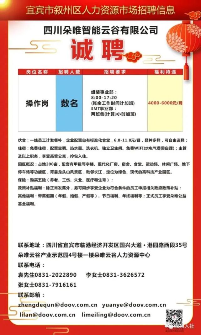 凯里招聘网最新招聘动态深度解读与解析