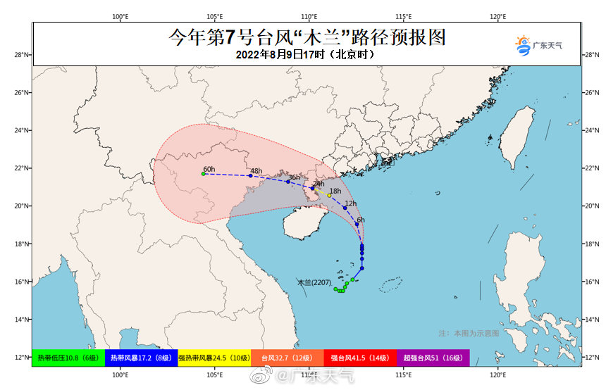 开平台风最新动态，引领数字化转型新浪潮