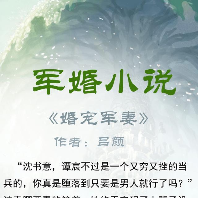 最新军婚小说，热血柔情交织的浪漫故事